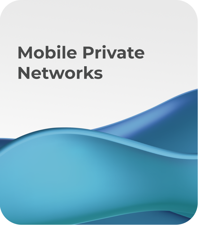 Mobile Private Networks