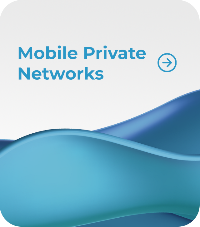 Mobile Private Networks